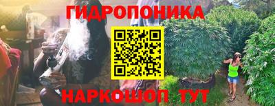 СК Кунгур