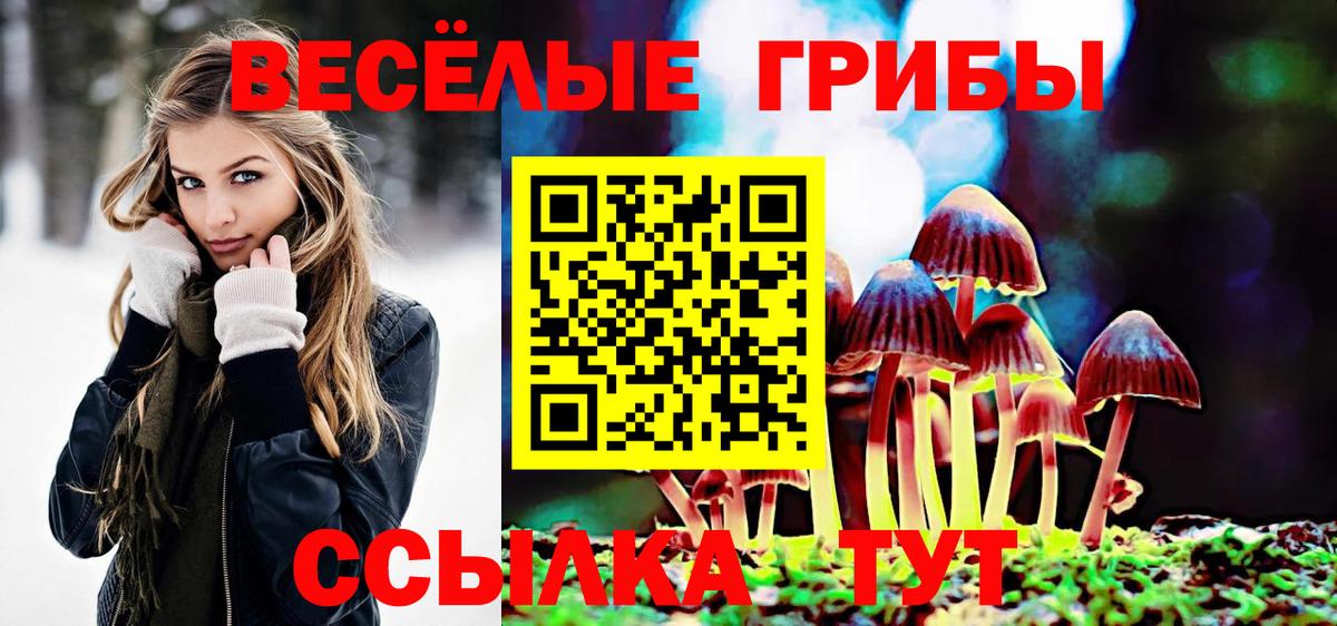 Псилоцибиновые грибы GOLDEN TEACHER Дедовск